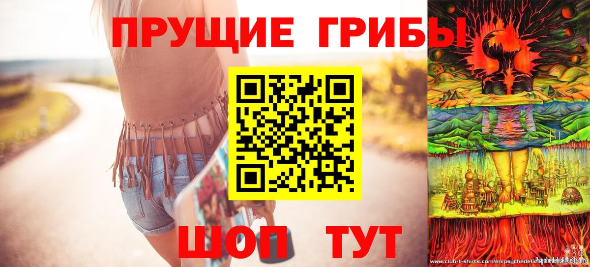 Псилоцибиновые грибы мицелий Грозный
