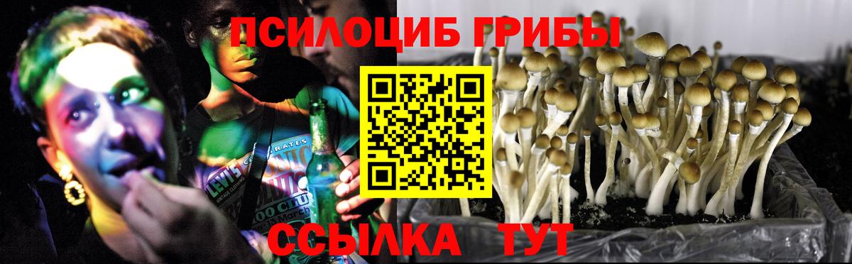 Галлюциногенные грибы GOLDEN TEACHER  Вход с VPN  Грозный 