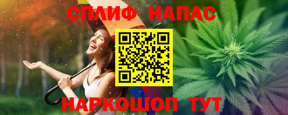 Бошки Шишки индика Грозный